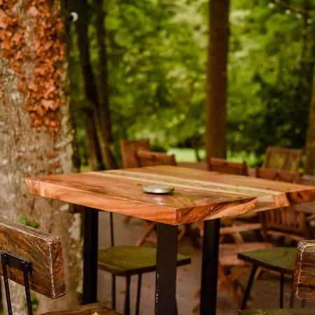 Frühstückspension Chateau De Rhodes